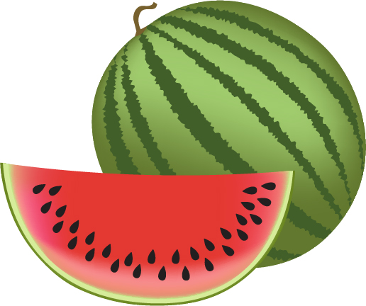 Frisches Wassermelonenvektormaterial 02  