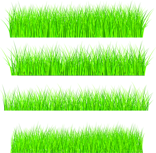 Vector Green Grass Elements set 08  