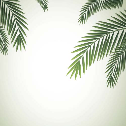 Green palm leaves backgrounds vector 06  