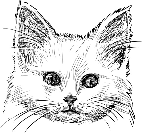 Hand drawn cats head vector set 04  