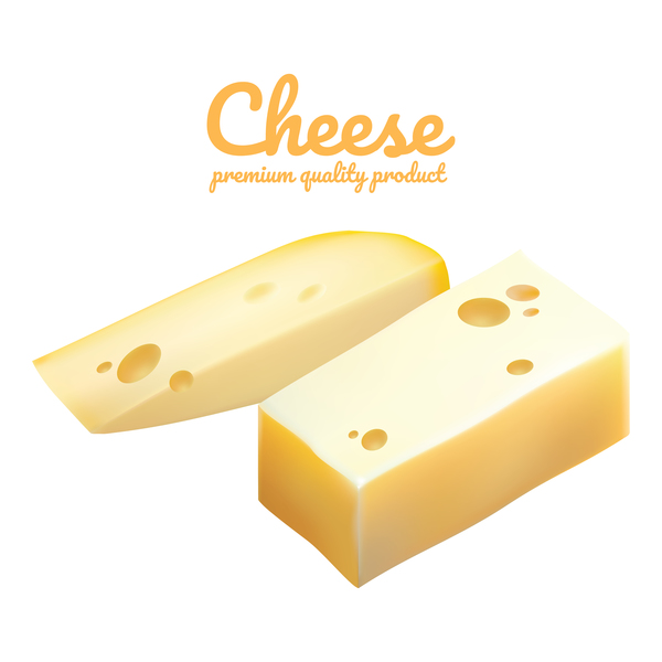 Premium quality cheese realistic vector 09  