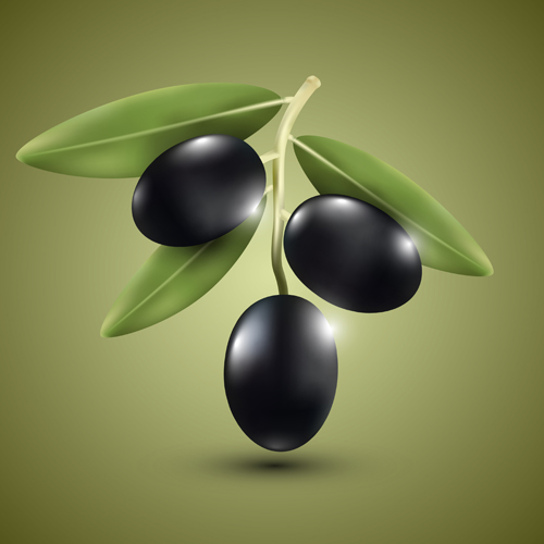 Purple olives vector material  