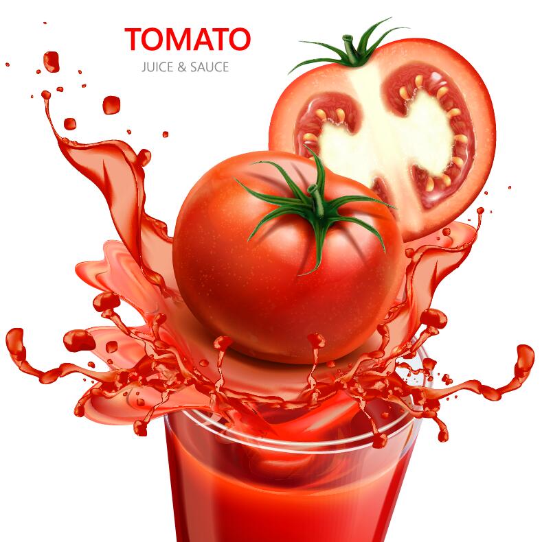 Jus de tomate avec design de fond blanc vector 02  
