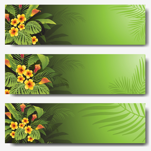 Vector tropical plants green banner set  