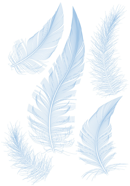 Feather design elements vector Illustration 04  