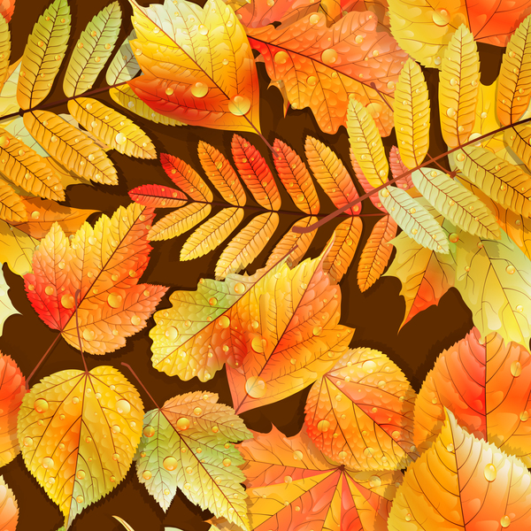 水滴シームレスパターンベクトル02と美しい秋の葉  