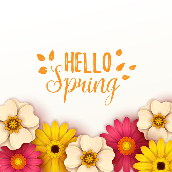 Farbige Blume mit Hallo Frühlingshintergrundvektoren 09  