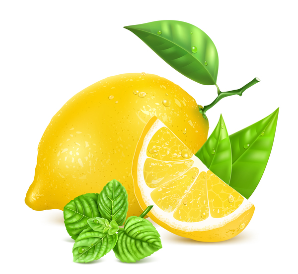 Fresh lemon with leaf vector material 03  