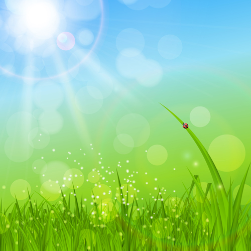 Grass with blue sky spring vectors 09  
