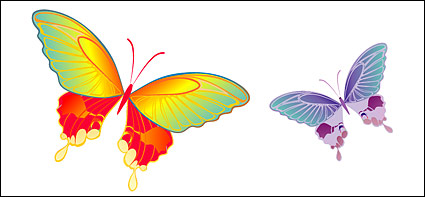 Colorful Butterfly elements vector  