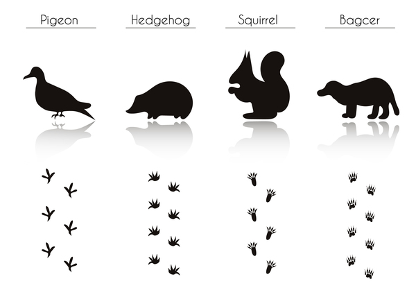 Animals with footprint silhouette vector material 08  