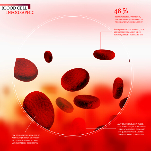 Creative blood cell infographic design vector 02  