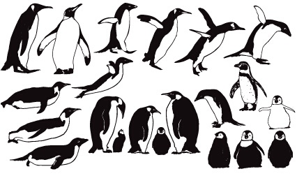 Penguin cute vector and Photoshop shapes  