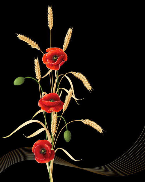Poppy with wheat design vector background 02  