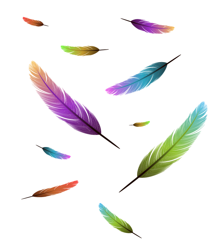 Feather design elements vector Illustration 03  