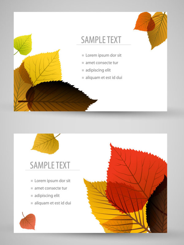 Set of maple leaves cards vector 03  