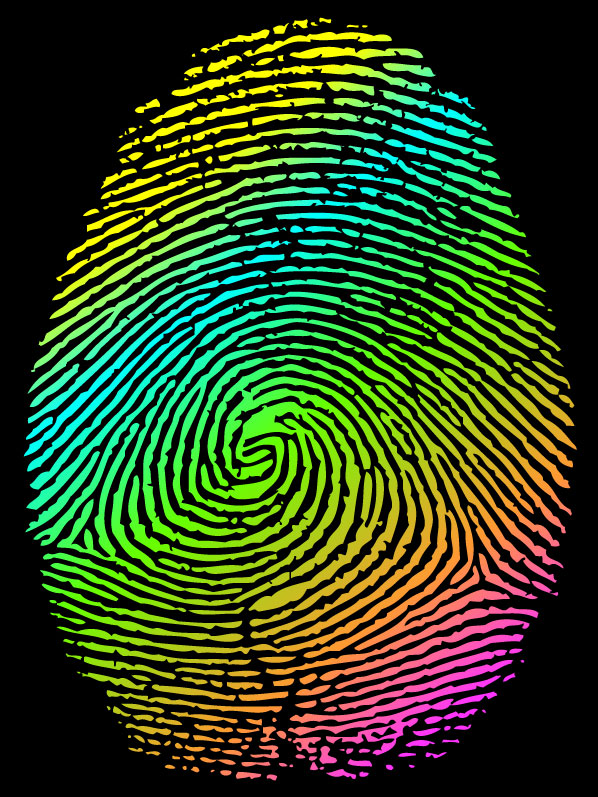 Vector set of fingerprints design elements 01  