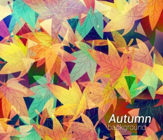 Colored autumn leaves pattern background vector  