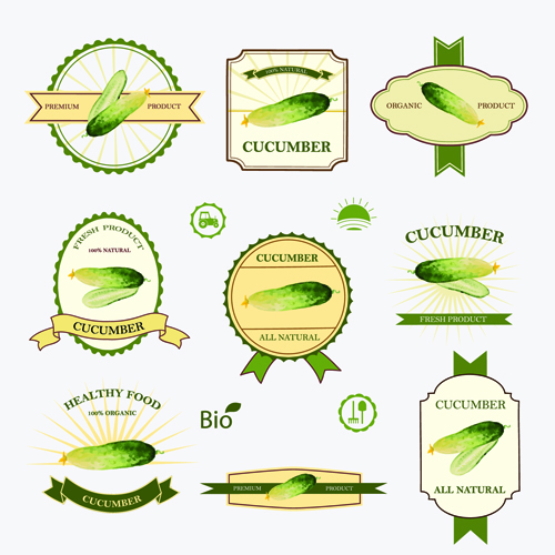 Cucumber healthy food labels vector  