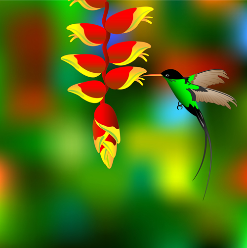 Flower with hummingbird vector material  