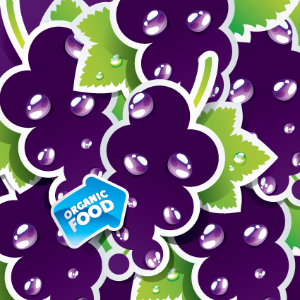 organic food labels Stickers design vector 03  