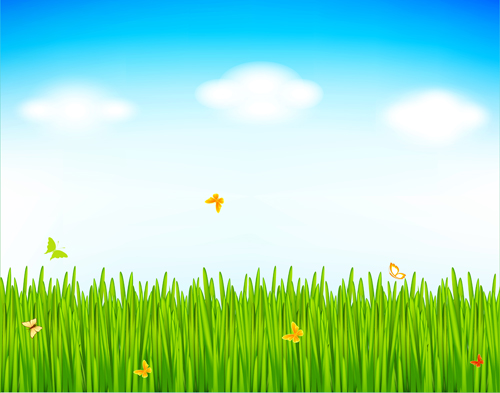 Grass with blue sky spring vectors 08  