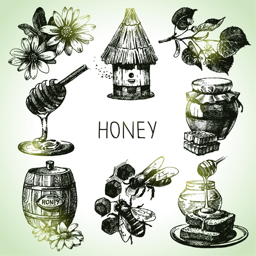 Hand drawn honey elements vector icons  