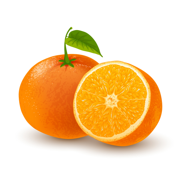 オレンジの新鮮なデザインのベクトル  