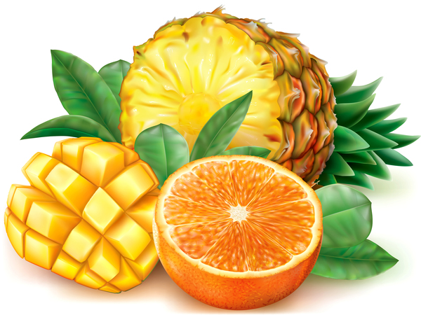 Pineapple mango orange vector  