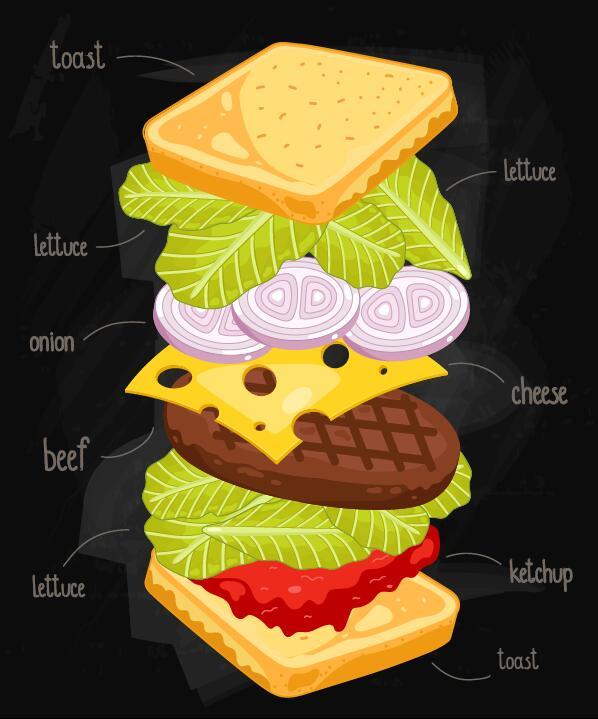 Infographic Vektor 05 der Sandwichbestandteile  