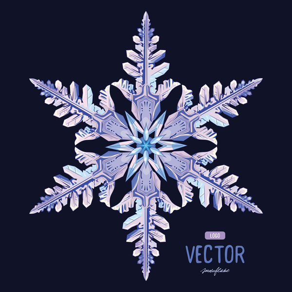 Snowflake form med svart bakgrund vektor 02  