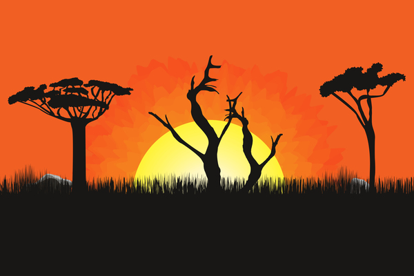 アフリカの夕日風景の美しいベクター 01  