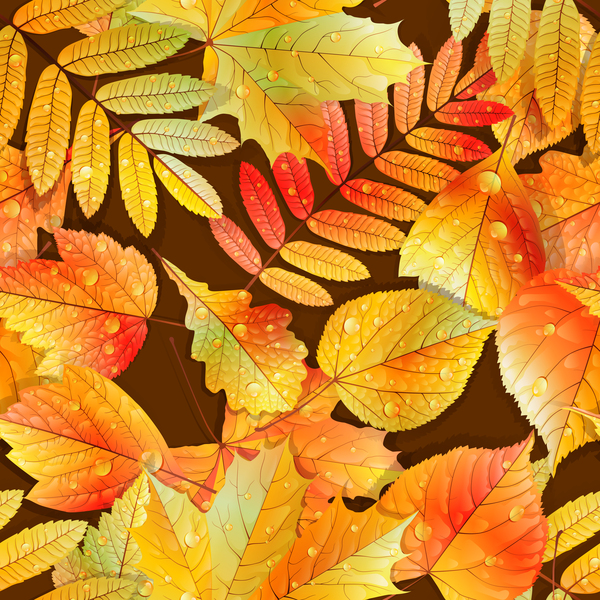 水滴シームレスパターンベクトル01と美しい秋の葉  