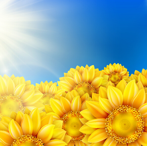 Blue sky with sunflower flower vector background  