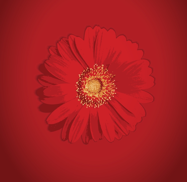 花咲く赤い背景グリーティング カード ベクトル  