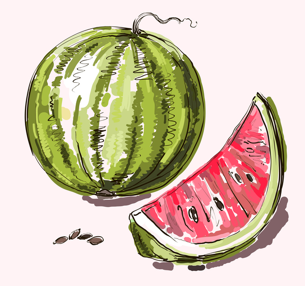 Hand gezeichnet Wassermelone Vektoren  