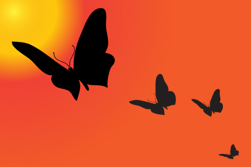 Sunset with butterfly silhouette vector material 03  