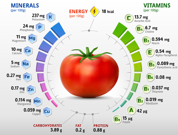 トマト ビタミン インフォ グラフィック ベクトル  