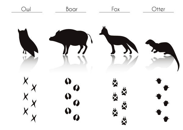 Animals with footprint silhouette vector material 07  