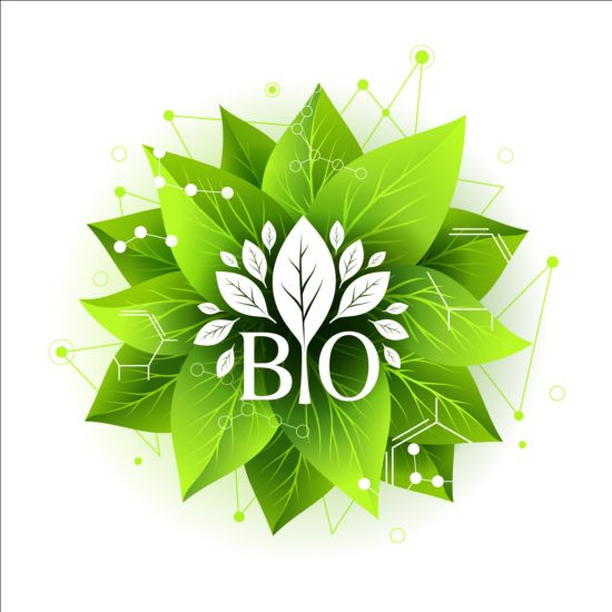 Bio green leaves with connection lines vector 03  