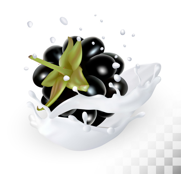 Blackberry with splash milk vector  