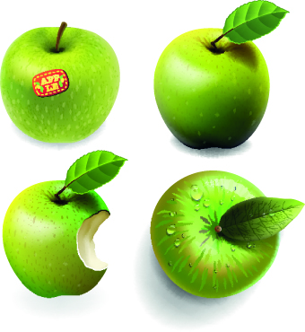 Fresh Apples creative illustration vector 01  