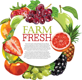 Vector farm fresh fruit background design 08  