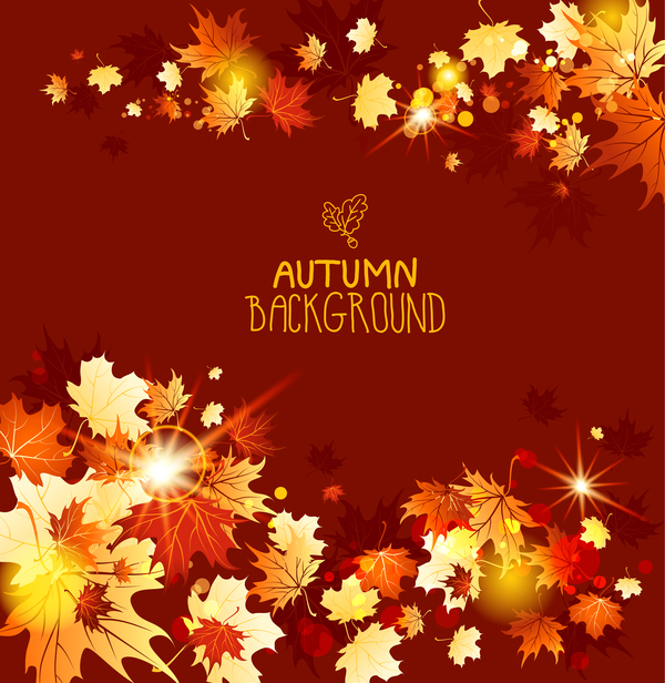 赤い背景ベクトルと秋の葉  
