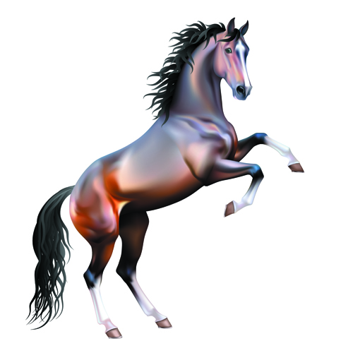 Vivid Horses design vector 05  