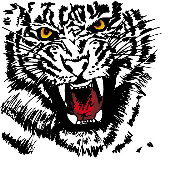 Set of Tiger vector picture art 27  