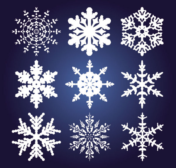 Different Snowflake pattern mix vector graphics 01  