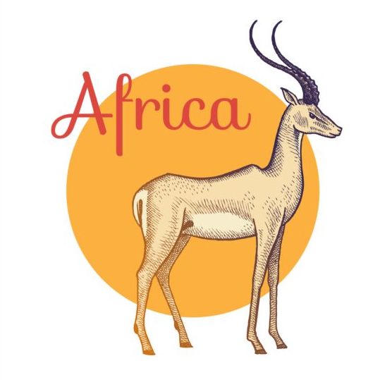 Africa antelope vector  