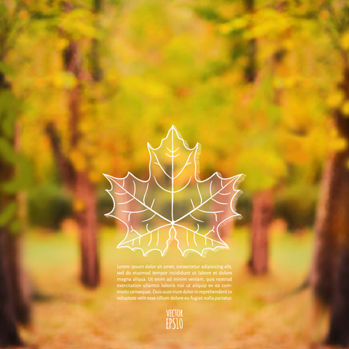 Autumn leaf outline with blurred background vector 04  