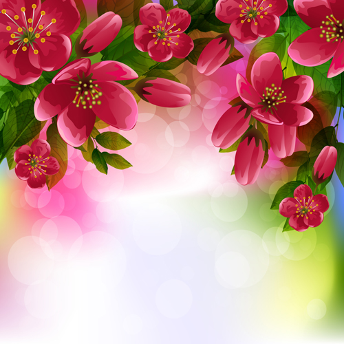 Beautiful red flower vector background 07  